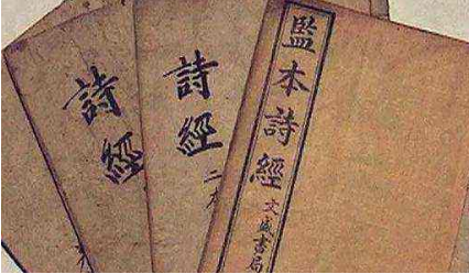 古代诗词鉴赏之《诗经·鹊巢》篇：维鹊有巢，维鸠居之