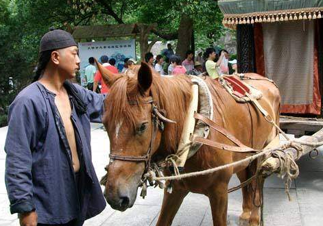 古代车夫想怎么开就怎么开吗 车夫都是什么样的人
