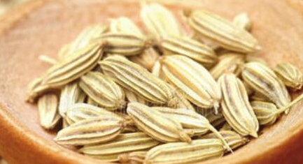 经过科学家的探索，茴香籽在医学上有怎样的药用价值？