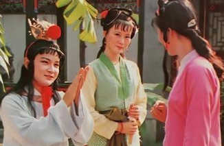《红楼梦》里人缘比晴雯人缘更差的丫头是谁？