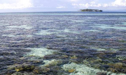 珊瑚海的地质很特殊吗？为何被称为是世界上最大的海？