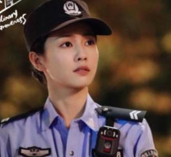 《警察荣誉》是根据小说改编的吗？主要剧情介绍