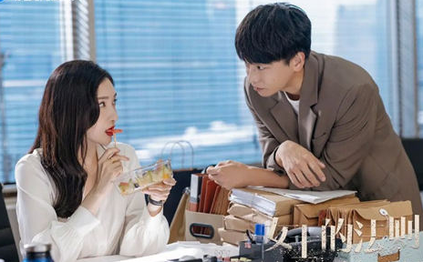 《女士的法则》李功明结局是什么 是好人吗