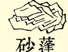 本草纲目·第七卷·金石部·蓬砂原文是什么内容？