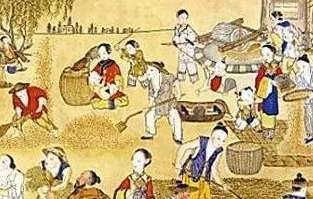 为什么唐朝要取消租庸调制？详解其原因
