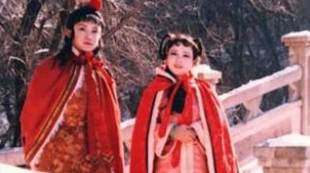 《红楼梦》薛蝌兄妹为何不顾母亲有病也要上京？