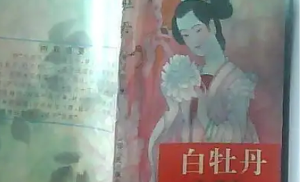 《白牡丹》第四十回：扬州店看诗忆梦　新庄银出世朝君