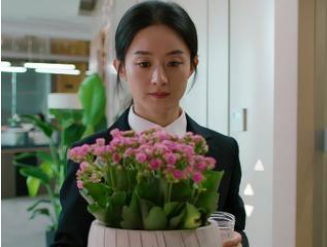 《幸福到万家》庆来幸福为什么要离婚？发生了什么