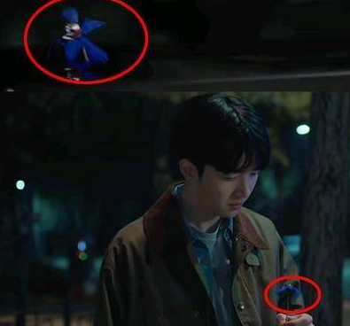 《小小姐们》兰花代表什么 有什么含义