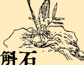 本草纲目·第八卷·草部·石斛具体内容是什么？