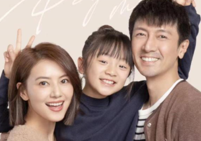 《完美伴侣》讲了什么故事？高圆圆的表现如何？