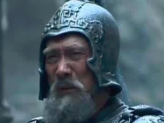 定军山之战黄忠斩杀夏侯渊后，刘备说了些什么？