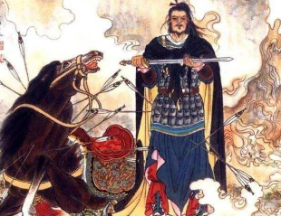 三国演义第一百十二回：救寿春于诠死节，取长城伯约鏖兵