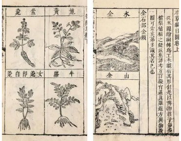 本草纲目·第三卷·百病主治·鼻原文是什么内容？