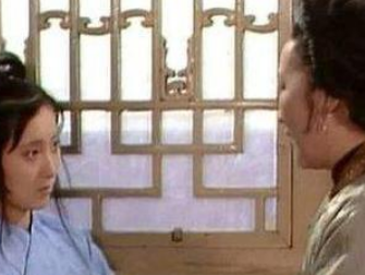 红楼梦紫鹃情试宝玉后，薛姨妈做了什么事情?