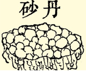 本草纲目·第七卷·金石部·丹砂原文是什么内容？