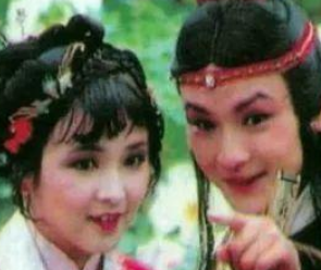 红楼梦中宝琴进入贾府后的处境有何变化？