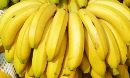世界上最大的香蕉品种位于哪里？它的种植方法特殊吗？