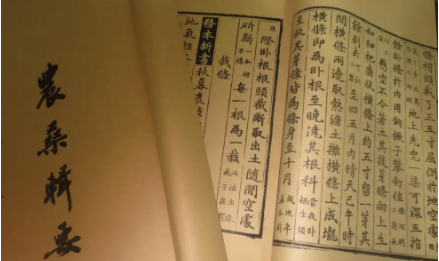 《农桑辑要》：药草·莲藕 全文及翻译注释