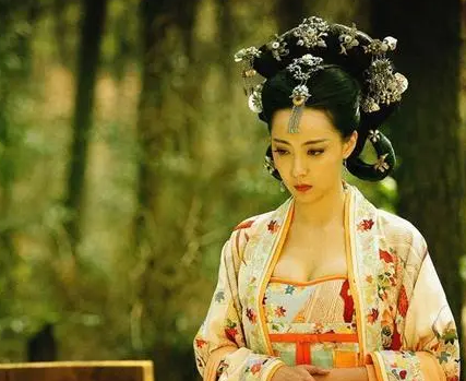 古代驸马能够纳妾吗 公主有能力阻止驸马纳妾吗