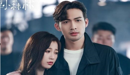 《两个人的小森林》大结局甜到了吗?虞美人被求婚