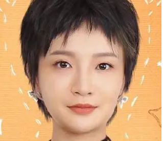 《故乡别来无恙》演员阵容怎么样？任素汐等人领衔