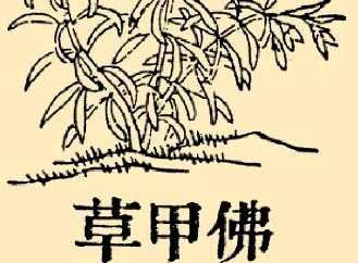 本草纲目·第八卷·草部·佛甲草具体内容是什么？