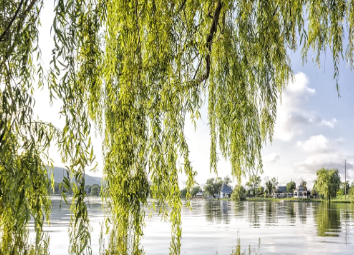 盘点：汉末三国时期额程姓人物？