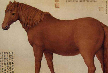 汉武帝劳师远征大宛，只是为了汗血宝马？