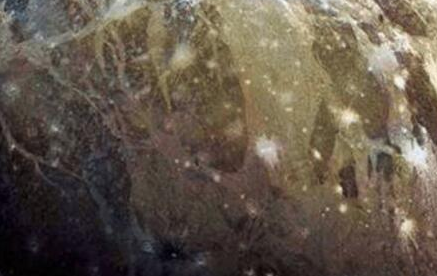 木卫三有生命吗？经过科学家探索之后，目前没有发现