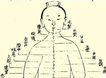 本草纲目·第二卷·序列·张子和吐、汗、下三法原文是什么内容？