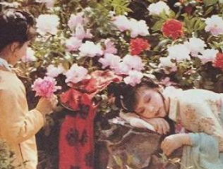 红楼梦中史湘云是个什么样的形象？为何说特殊？