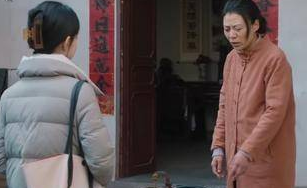 《幸福到万家》何幸福坚持调查水污染事件，被打击报复