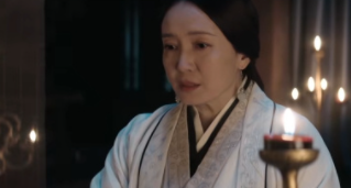 《月升沧海》中的袁慎母亲为什么不爱自己的孩子？