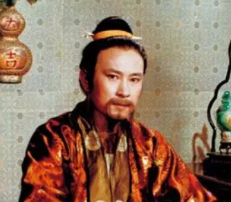 红楼梦中赵姨娘的存在对贾政意味着什么？