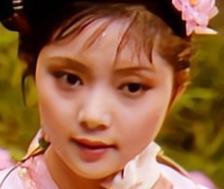 红楼梦中芒种节时期，贾府都发生过哪些事情？