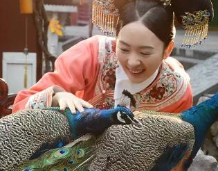 古代的宫女们为什么都害怕被皇帝看上呢？
