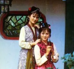 红楼梦中小红与芳官都在怡红院，为何待遇完全不同？