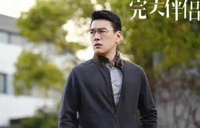《完美伴侣》有哪些看点？剧集质量怎么样？