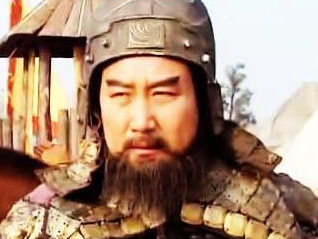 三国时期在蜀汉担任车骑将军这一官职的人都有哪些？