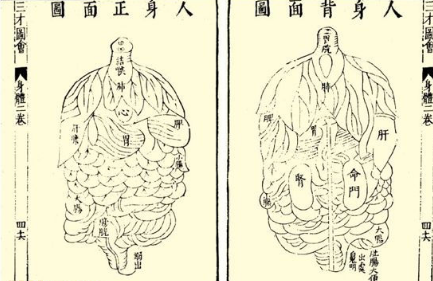 本草纲目·第一卷·序列·标本阴阳具体内容是什么？