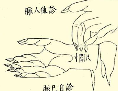 本草纲目·第三卷·百病主治·诸风具体内容是什么？