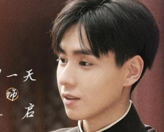 《凭栏一片风云起》导演是谁？胡一天又一民国大戏