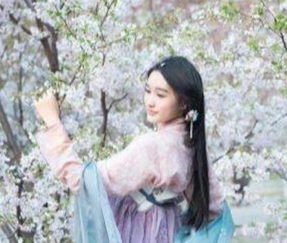 苏轼的一首词，将花蕊夫人夸成仙女