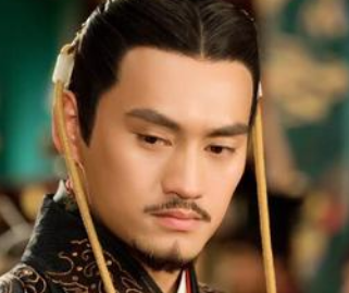 马援的一生有何作为？他没能成为云台二十八将之一是因为什么？