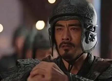 姜维作为诸葛亮的继承人 司马懿死后姜维为何打不过曹军