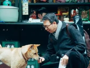 《忠犬八公》定档在什么时候？冯小刚饰演大学教授