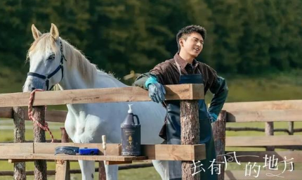 《去有风的地方》许红豆清醒，自己拥有的才是自己的
