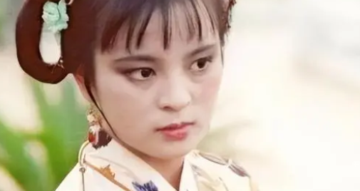 《红楼梦》贾探春是嫁给了周琼之子还是远嫁和亲去了？