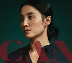 《回响》讲的是什么故事？宋佳王阳主演